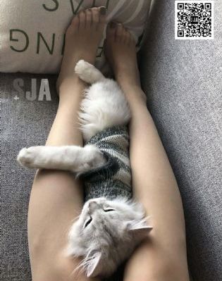 罚罪电视剧40集在线观看免费高清_国产剧在线观看