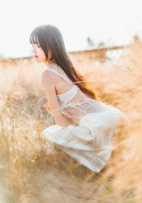 断刺电视连续剧40集全部介绍_720全集免费播放